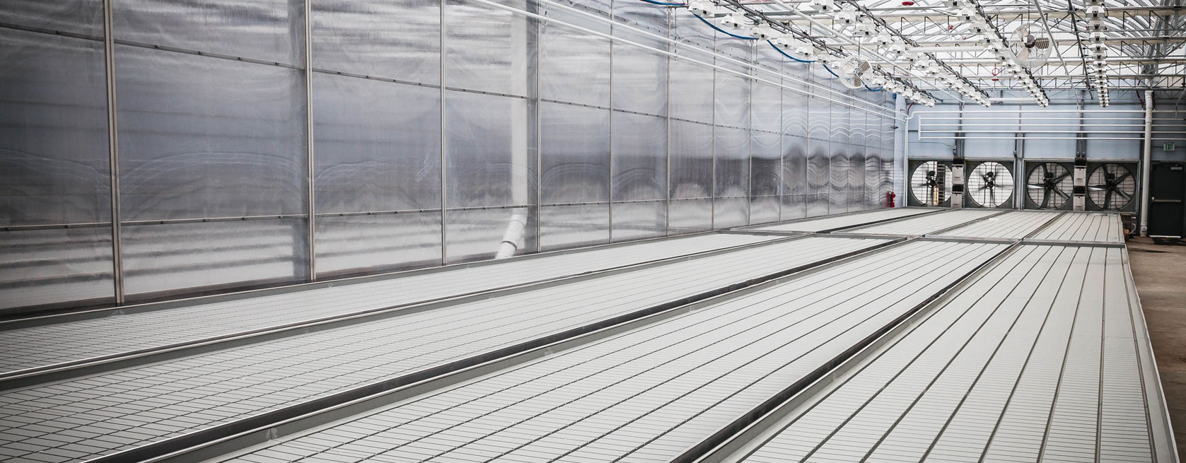 ggs rolling benches in a greenhouse