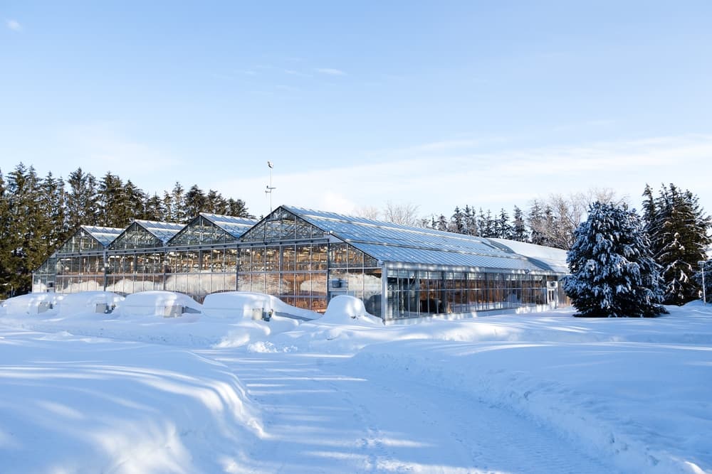 how to heat a greenhouse