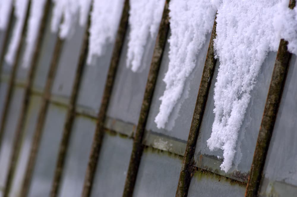 winter greenhouse